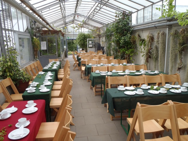 Feier im Gewächshaus Feier im Gewächshaus