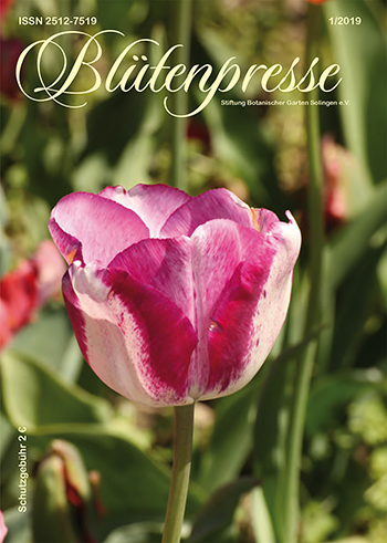 Die Blütenpresse Ausgabe 01/2019 auf issuu zum Blättern
