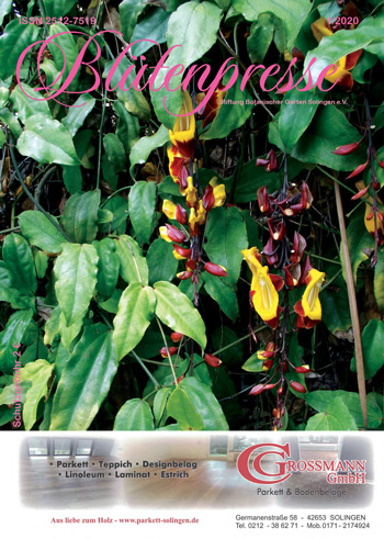 Die Blütenpresse Ausgabe 01/2020 auf issuu zum Blättern